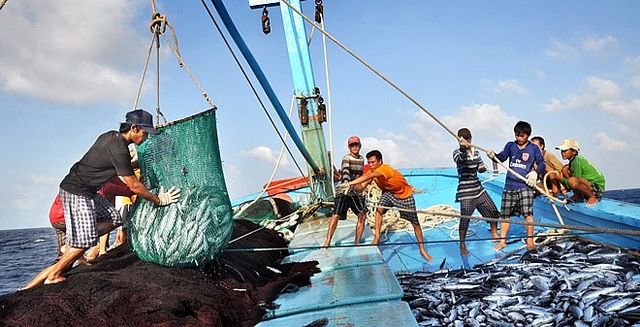 Tập trung nguồn lực chống khai thác hải sản bất hợp pháp, quyết tâm gỡ cảnh báo "Thẻ vàng"